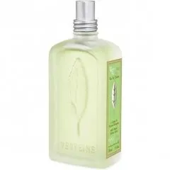 L'Occitane en Provence Verveine Menthe / Mint Verbena parfüm şişesi