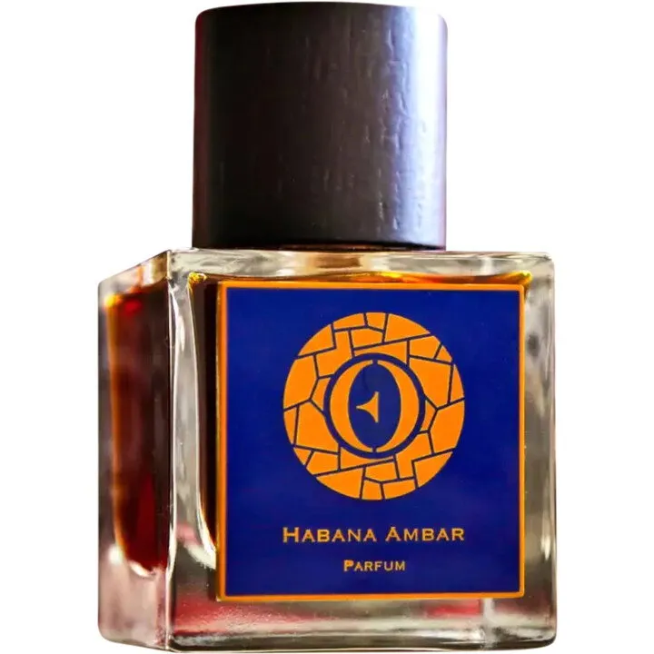 Ensar Oud Habana Ambar parfüm şişesi