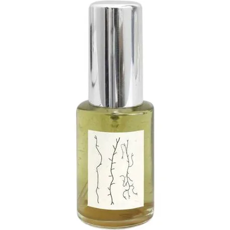 Agar Olfactory Transformación Bentónica perfume bottle