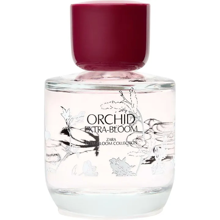Zara Orchid Extra-Bloom parfüm şişesi