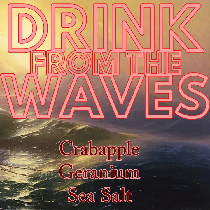 Stone & Wit Drink From The Waves parfüm şişesi