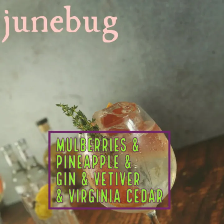 Stone & Wit Junebug parfüm şişesi