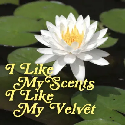 Pulp Fragrance I Like My Scents I Like My Velvet parfüm şişesi