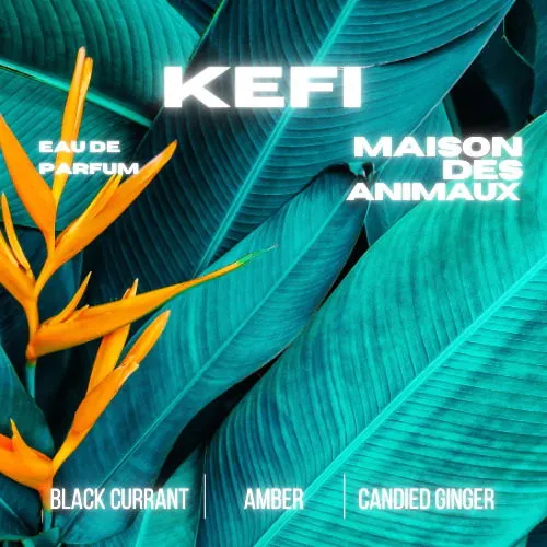 Maison des Animaux Kefi parfüm şişesi