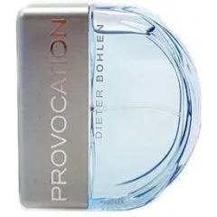 Dieter Bohlen Provocation Man (Eau de Toilette) parfüm şişesi