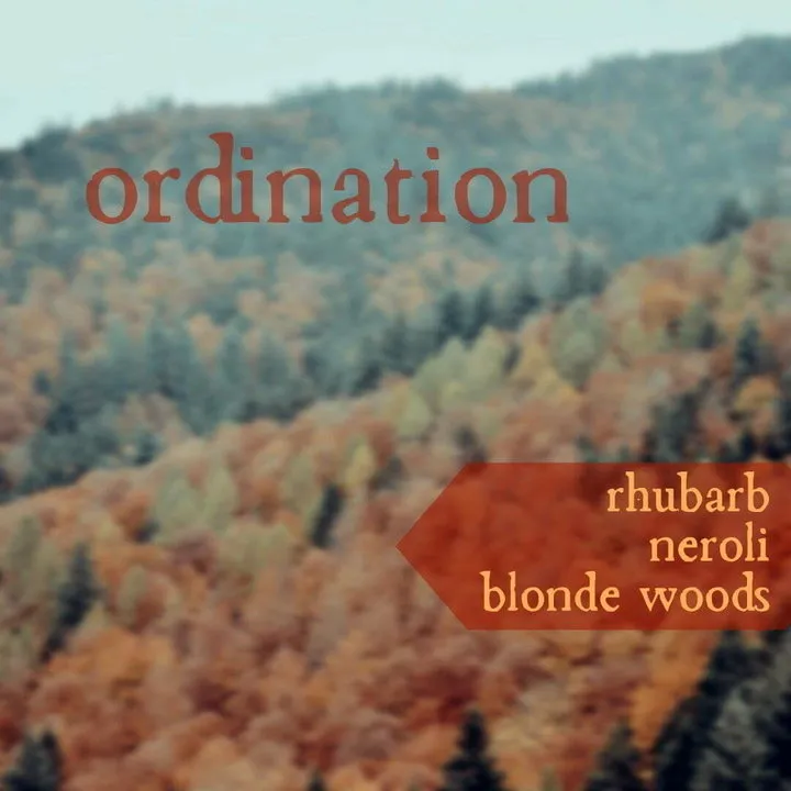 Stone & Wit Ordination parfüm şişesi