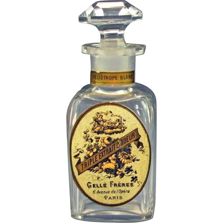 Gellé Frères Héliotrope Blanc (Triple Extrait) parfüm şişesi