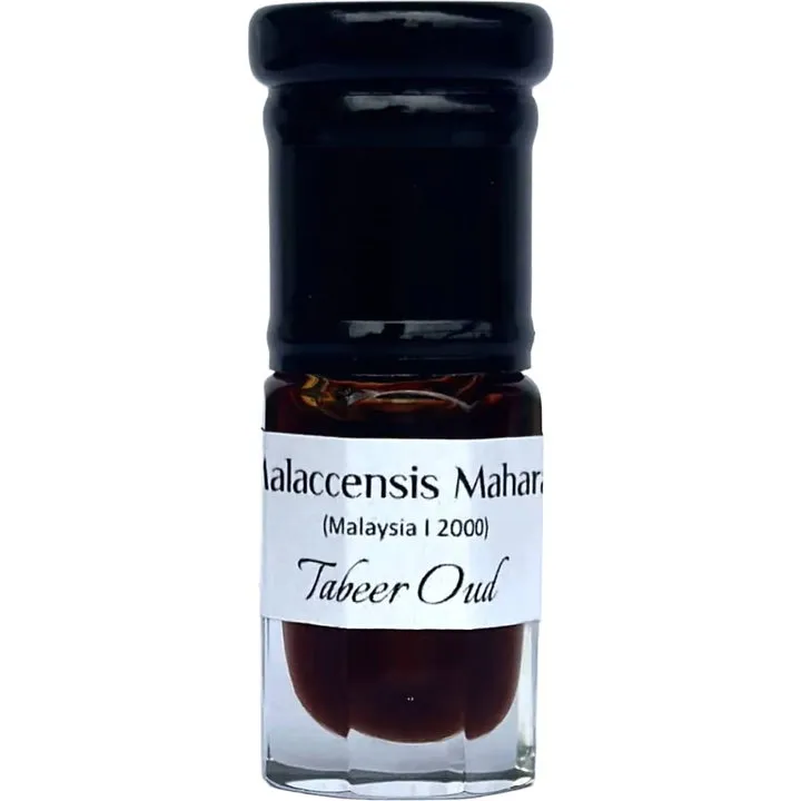 Tabeer Malaccensis Maharaj parfüm şişesi