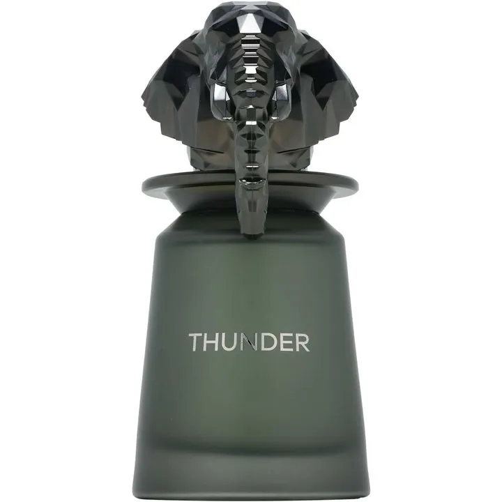 French Avenue Thunder perfume bottle