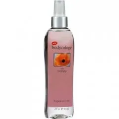 bodycology Wild Poppy parfüm şişesi