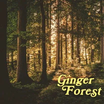 Pulp Fragrance Ginger Forest parfüm şişesi