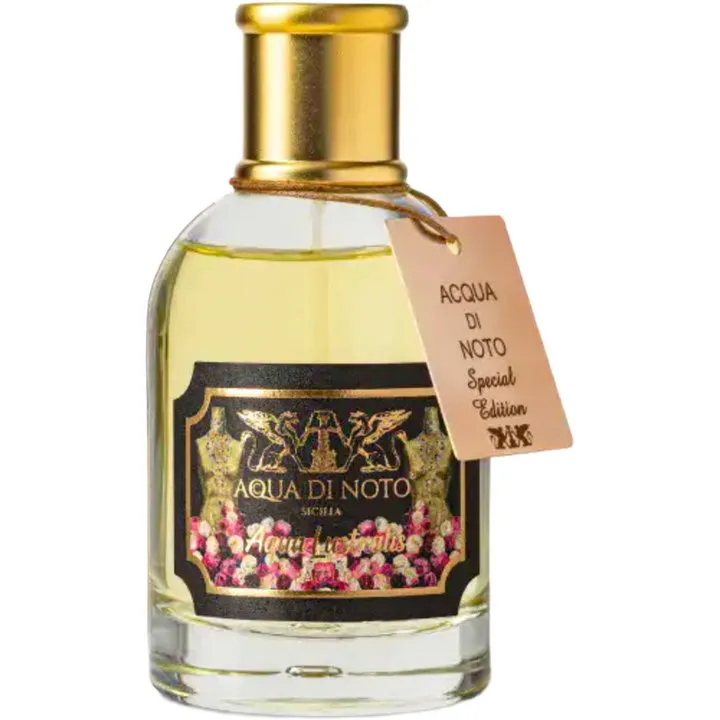Acqua di Noto Aqua Lustralis parfüm şişesi