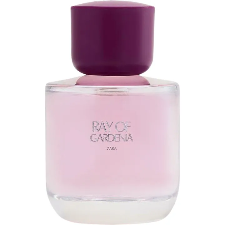 Zara Ray of Gardenia parfüm şişesi