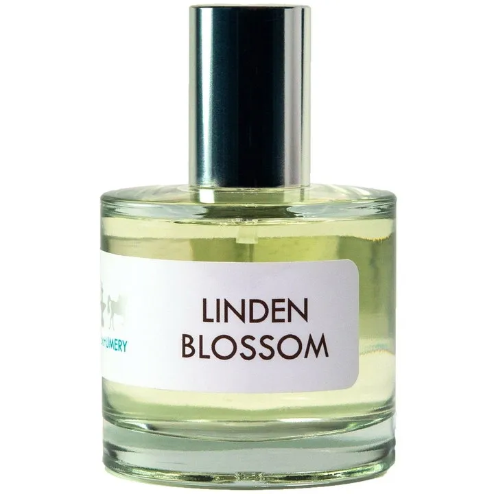 Dame Perfumery Scottsdale Linden Blossom (Eau de Toilette) parfüm şişesi
