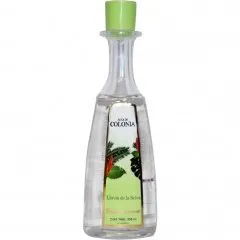 Sanborns Agua de Colonia - Lluvia de la Selva parfüm şişesi