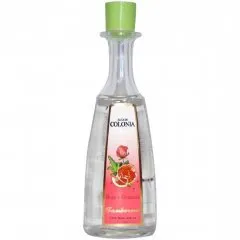 Sanborns Agua de Colonia - Rosa y Granada parfüm şişesi