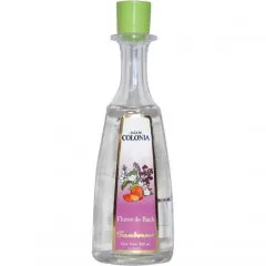 Sanborns Agua de Colonia - Flores de Bach parfüm şişesi