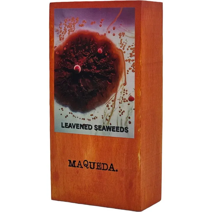 Maqueda Leavened Seaweeds perfume bottle