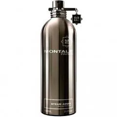 Montale Steam Aoud parfüm şişesi