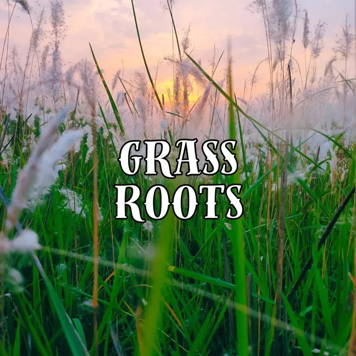Cardinal Scents Grass Roots (Eau de Parfum) perfume bottle
