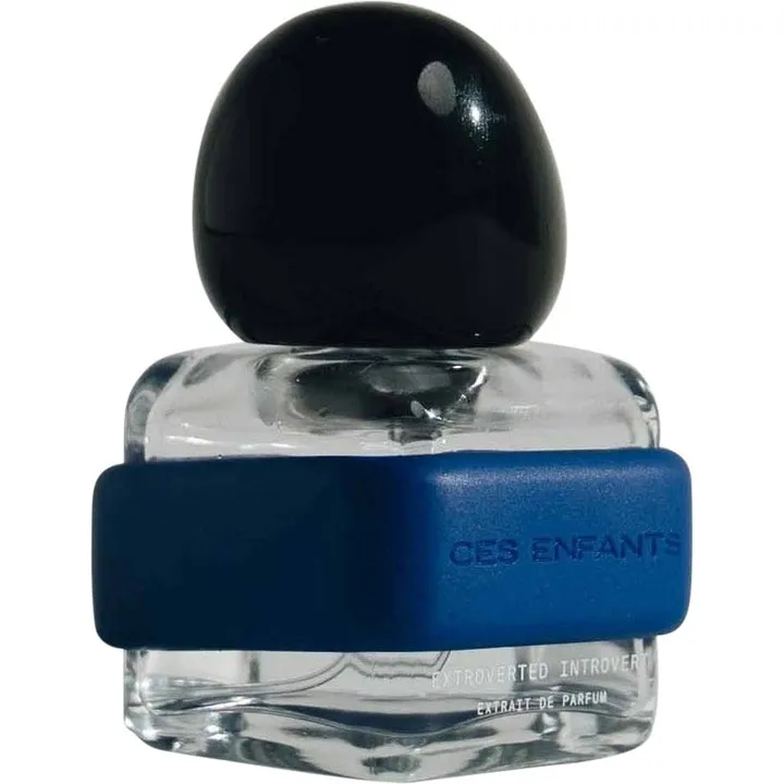 Ces Enfants Extroverted Introvert perfume bottle