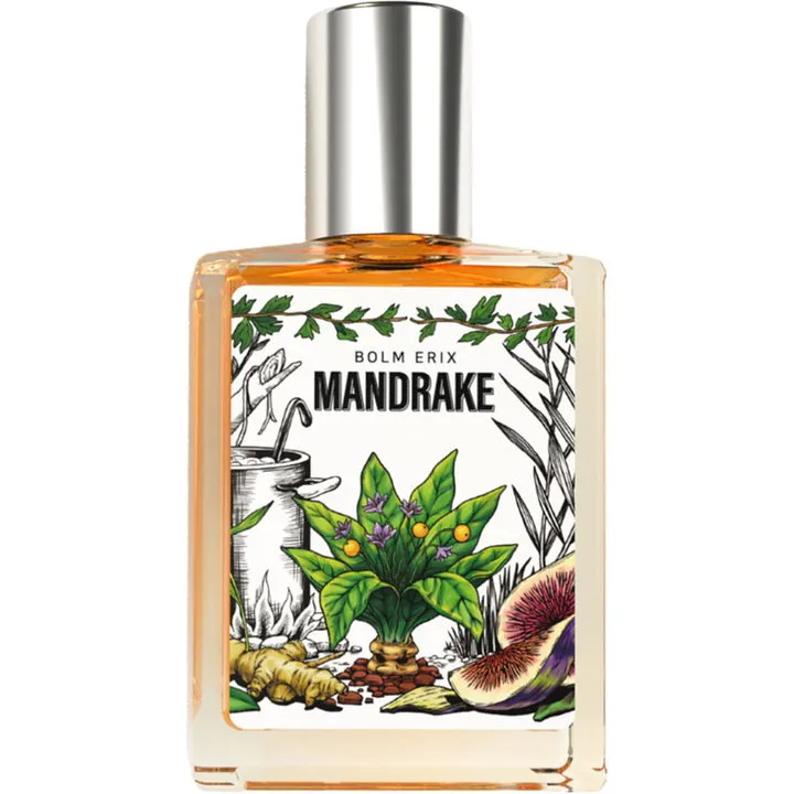 Bolm Erix / 볼름에릭스 Mandrake / 맨드레이크 parfüm şişesi