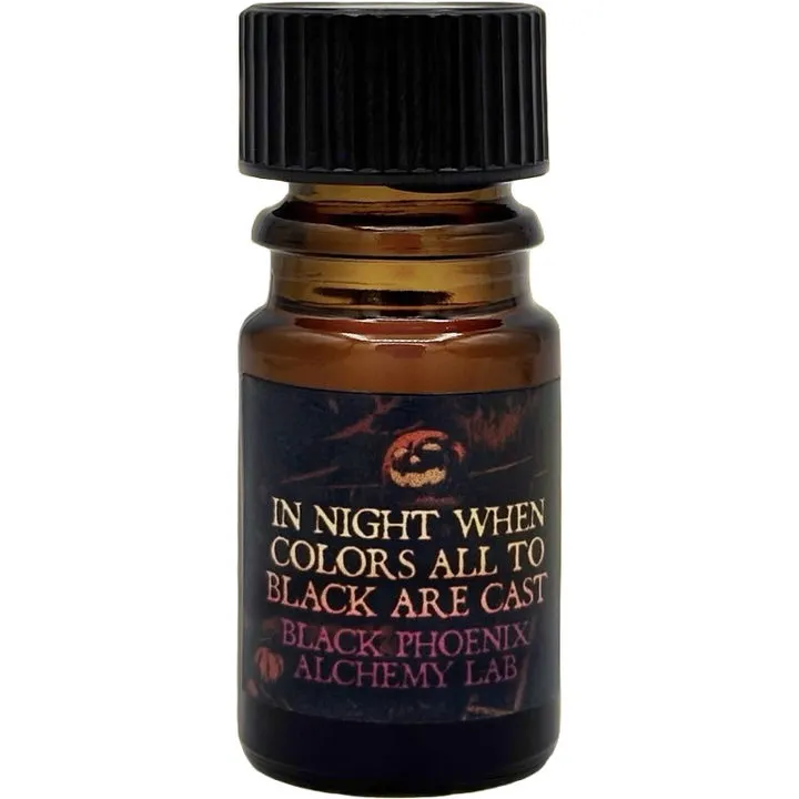 Black Phoenix Alchemy Lab In Night When Colors All to Black Are Cast perfume bottle