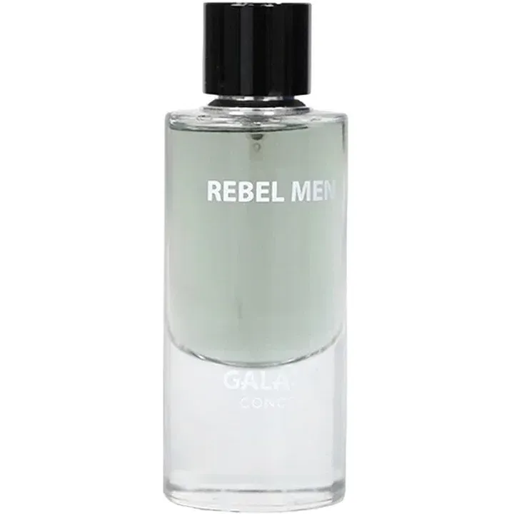 Galaxy Plus Rebel Men perfume bottle