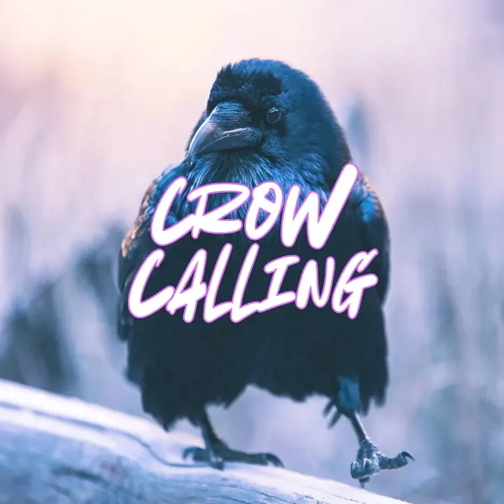 Cardinal Scents Crow Calling (Perfume Oil) parfüm şişesi