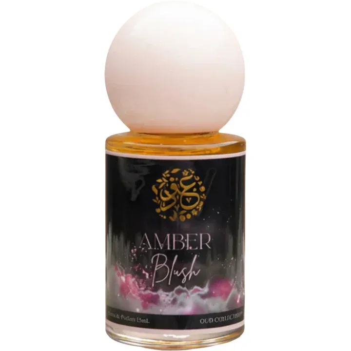 Oud Collection Amber Blush parfüm şişesi