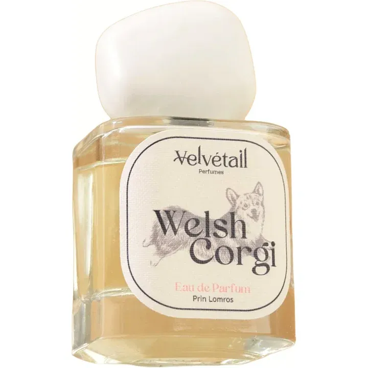 Velvétail Perfumes Welsh Corgi parfüm şişesi