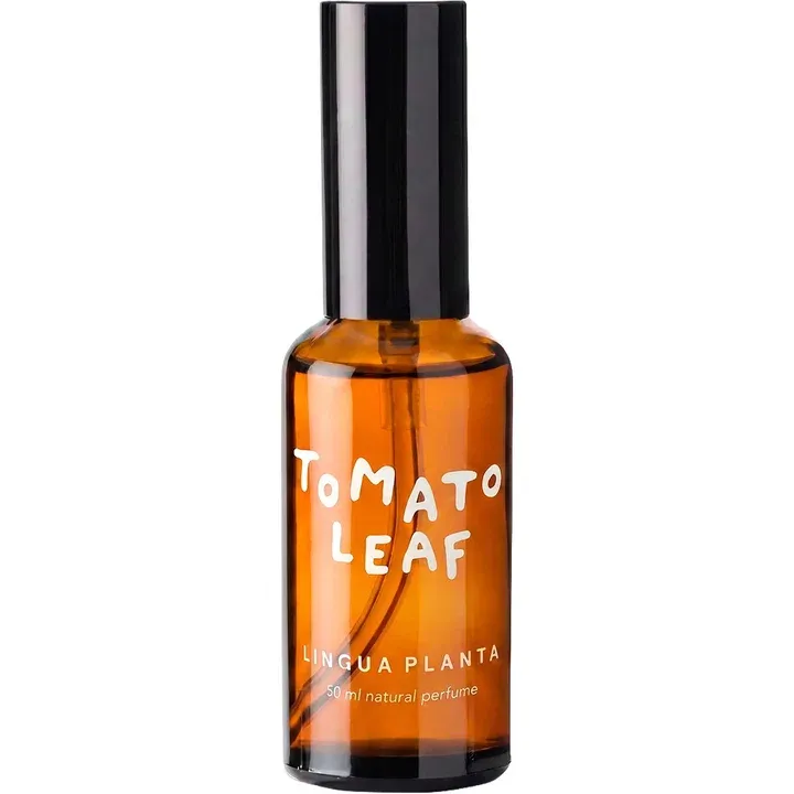 Lingua Planta Tomato Leaf parfüm şişesi