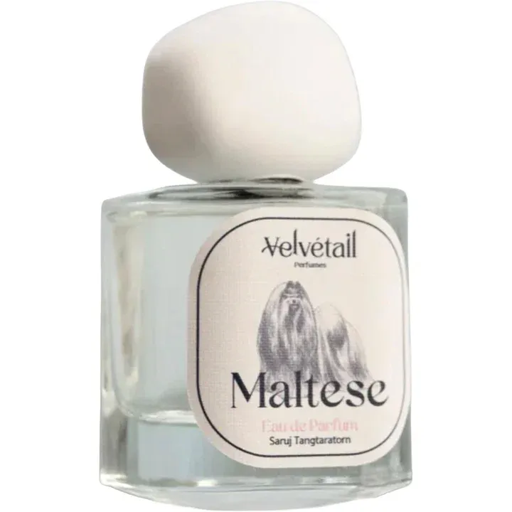 Velvétail Perfumes Maltese parfüm şişesi