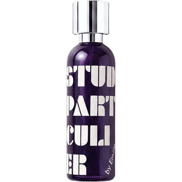 What We Do Is Secret Studio Particulier parfüm şişesi