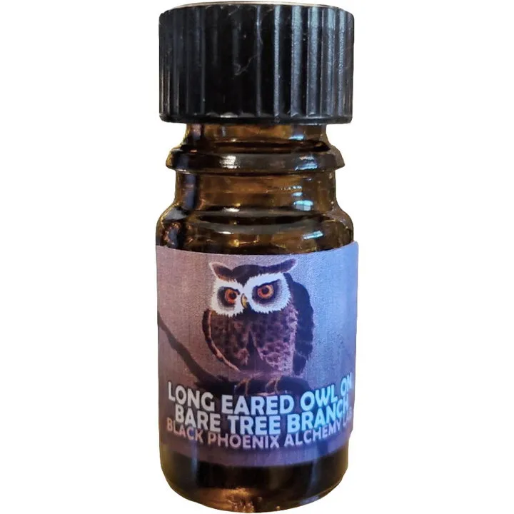 Black Phoenix Alchemy Lab Long Eared Owl on a Bare Tree Branch perfume bottle