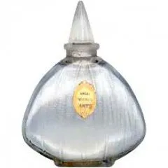 Arys Ambre Vermeil parfüm şişesi