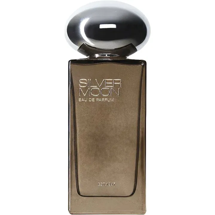 H&M Silver Moon parfüm şişesi