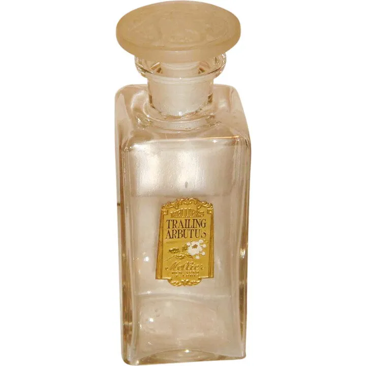 Mellier Co. Trailing Arbutus perfume bottle