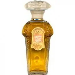 Sauzé Lauris perfume bottle