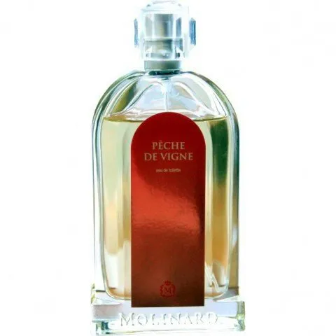 Molinard Pêche de Vigne parfüm şişesi