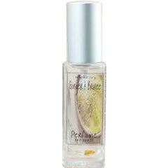 Wylde Ivy Ginger & Brulee parfüm şişesi