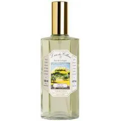 Laboratoires Cadentia L'eau des Collines - Thé Vert / Green Tea perfume bottle