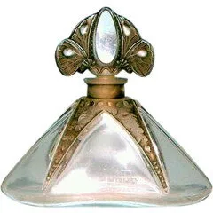 Salancy Le Roman de la Rose / Roman d'une Rose parfüm şişesi