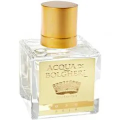 Dr. Taffi Acqua di Bolgheri - Gold perfume bottle