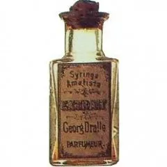 Dralle Syringa Amatista perfume bottle