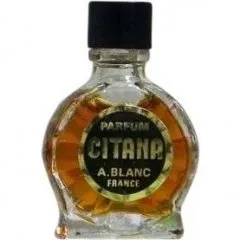 A. Blanc Citana parfüm şişesi