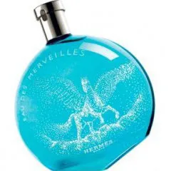 Hermès Eau des Merveilles Flacon Pégase perfume bottle