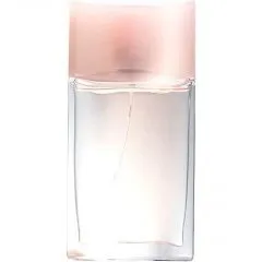 Avon Soft Musk (1981) (Cologne) parfüm şişesi
