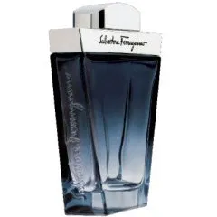 Salvatore Ferragamo Subtil pour Homme (Eau de Toilette) parfüm şişesi