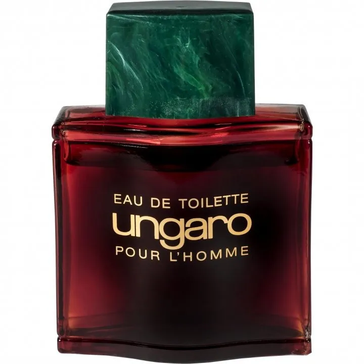 Emanuel Ungaro Ungaro pour L'Homme (Eau de Toilette) parfüm şişesi